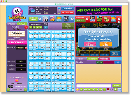 How to Play Bingo - Land Based & Online Games | Australian Card Games